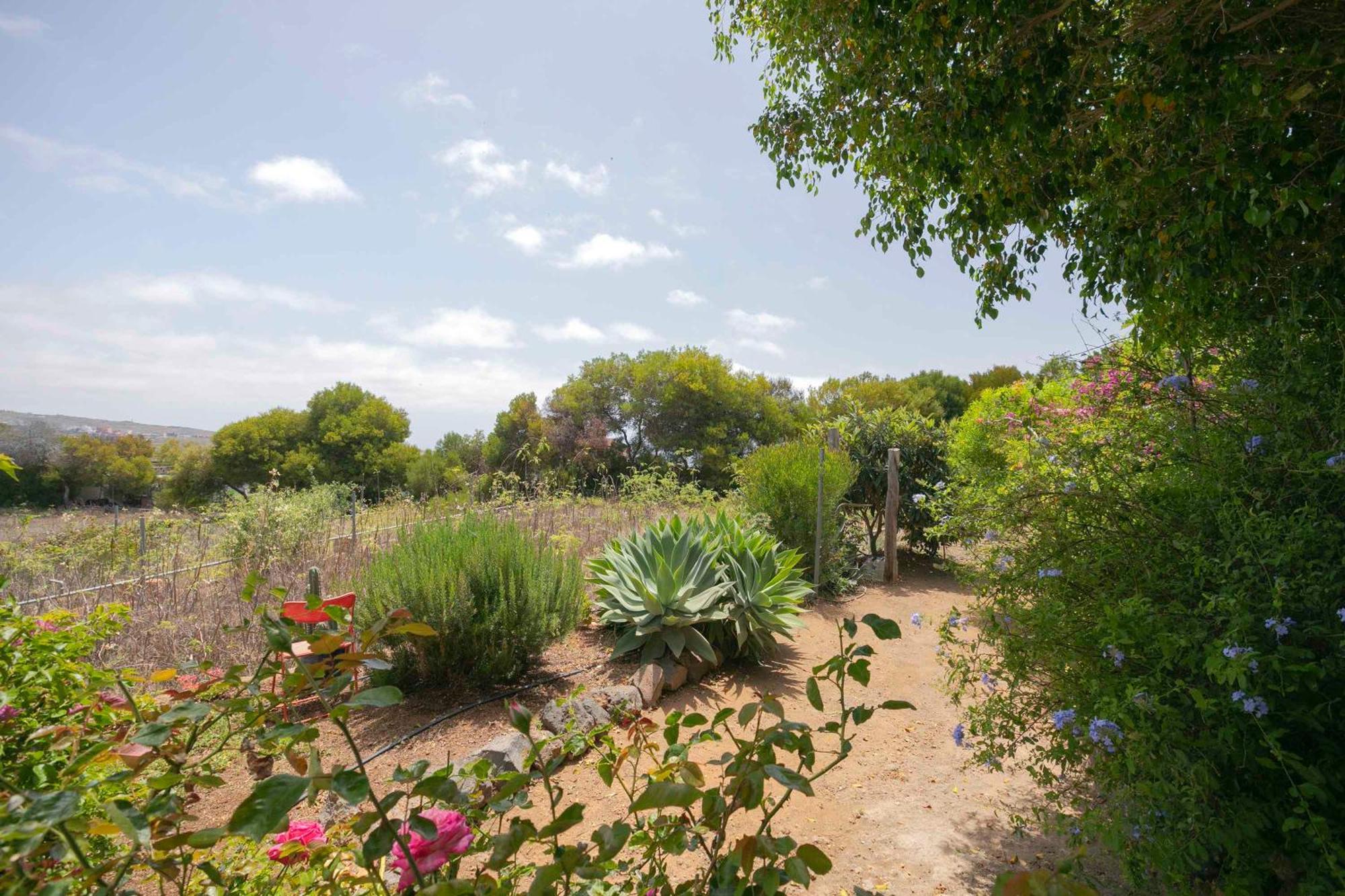 Casa Wayra Villa Granadilla De Abona Luaran gambar