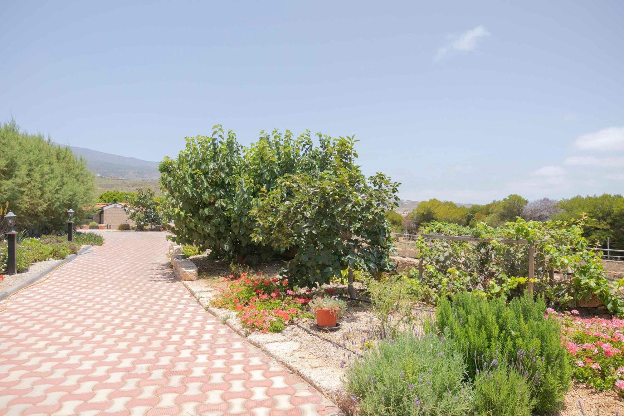 Casa Wayra Villa Granadilla De Abona Luaran gambar