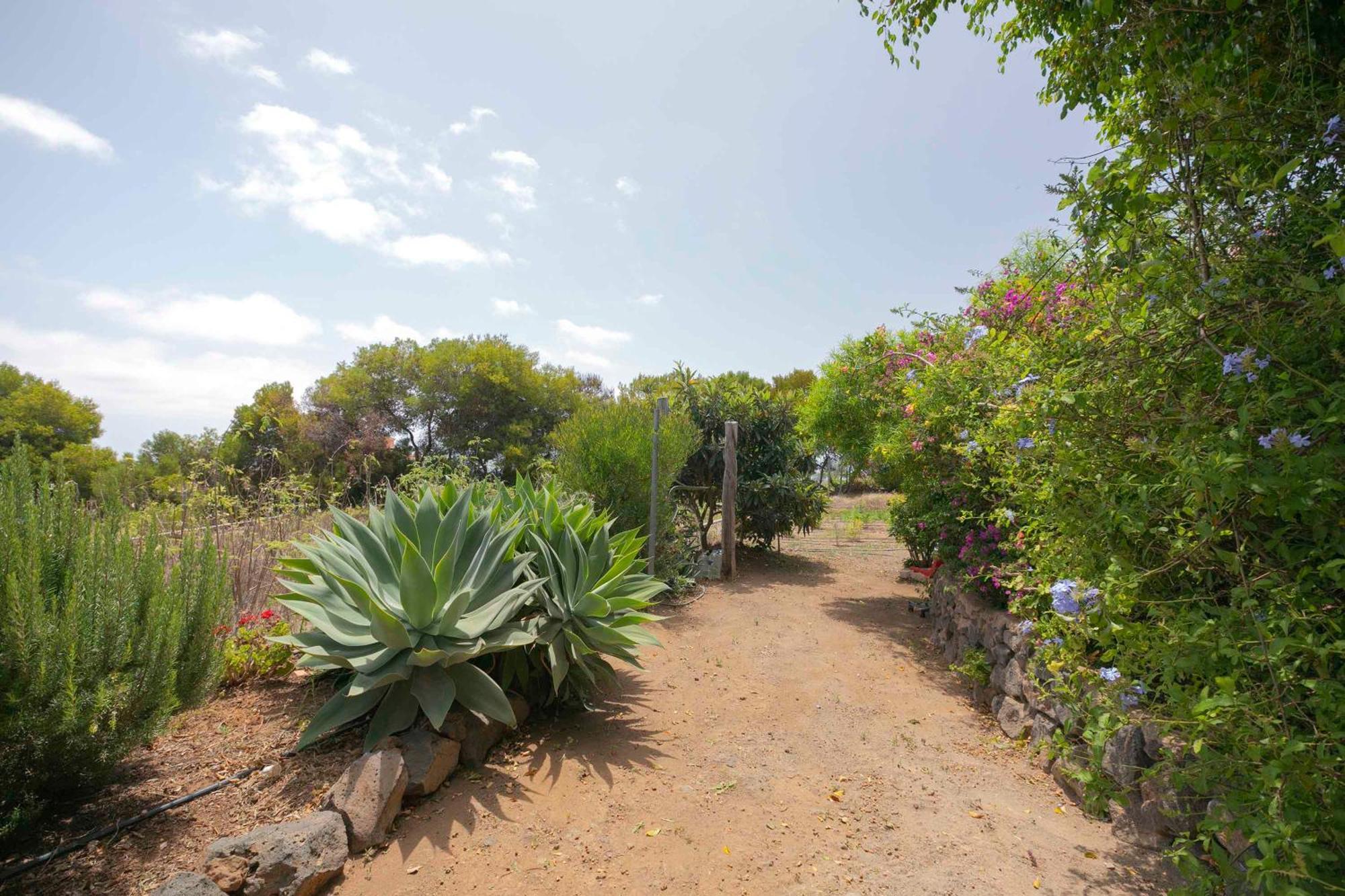 Casa Wayra Villa Granadilla De Abona Luaran gambar
